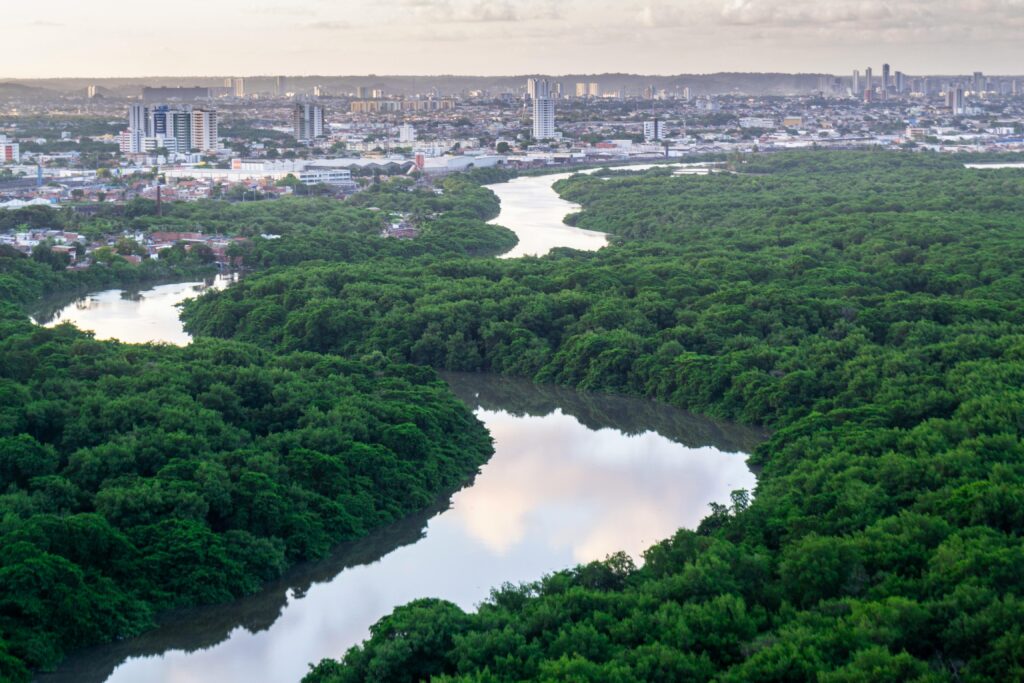 Stunning aerial view of Recife's cityscape and lush Capibaribe River, showcasing urban and natural beauty.